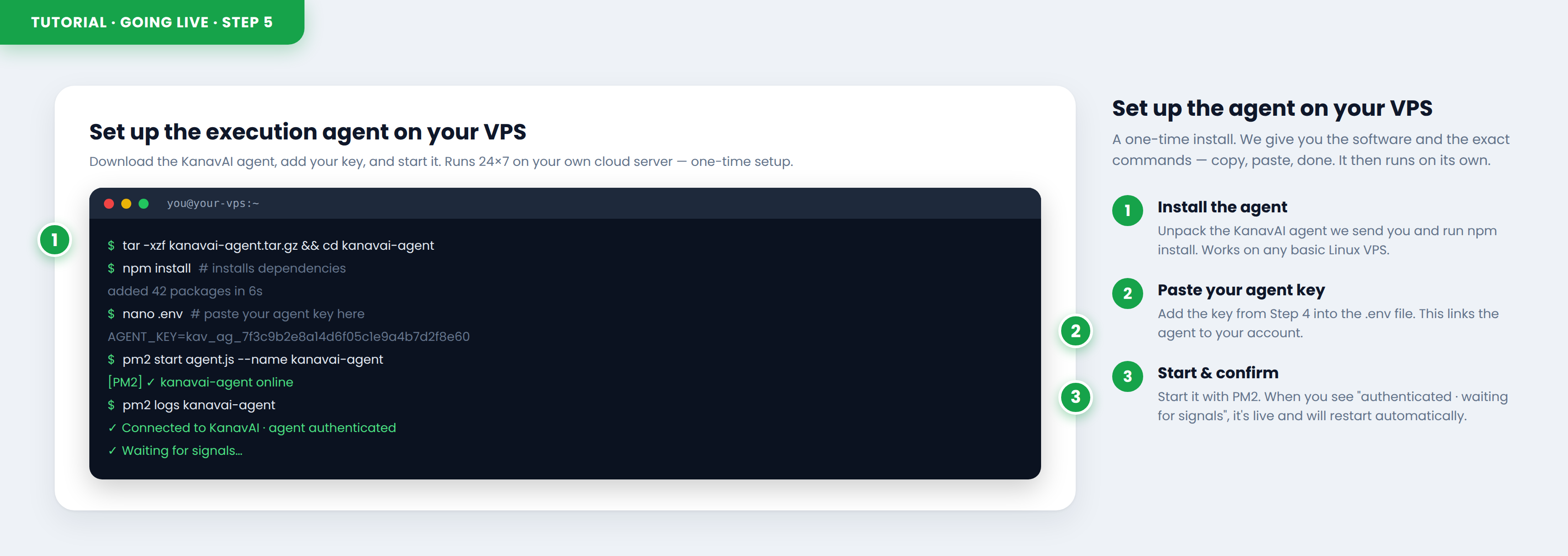 Set up the execution agent on your VPS